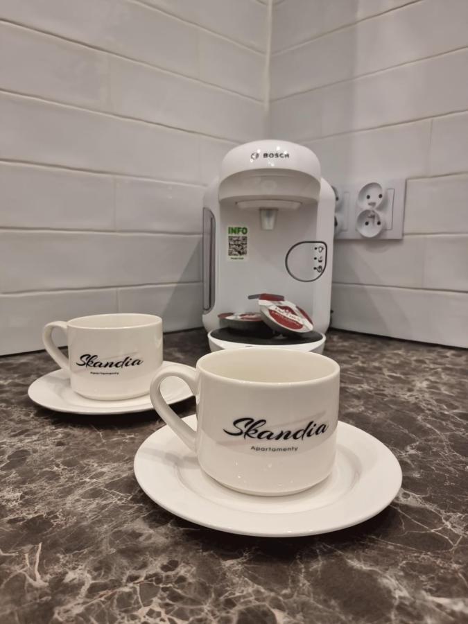 Apartament Skandia Blue Stary Toruń Kültér fotó